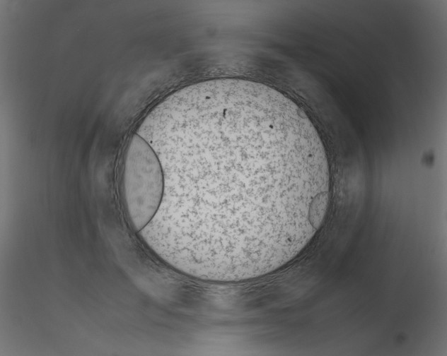 X0000116620701200912312139