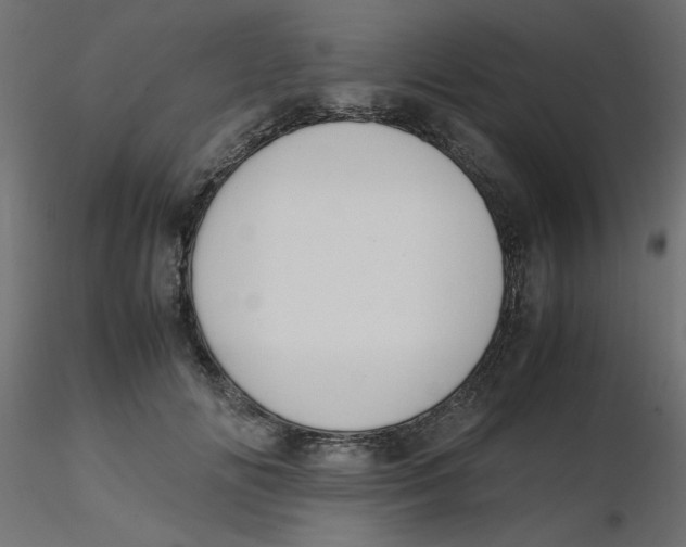 X0000116620702200912312139