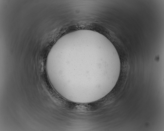 X0000116620703200912312139