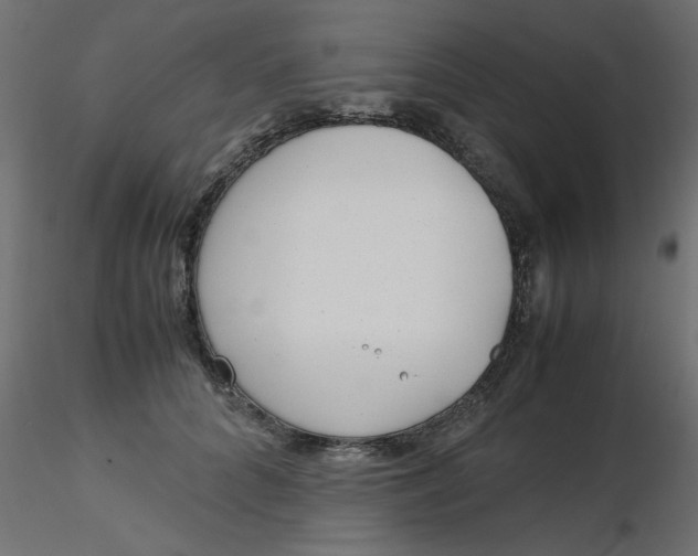 X0000116620704200912312139