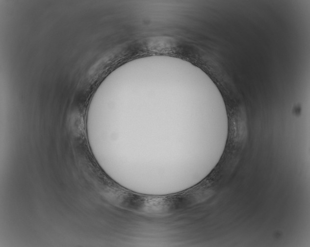 X0000116620705200912312139