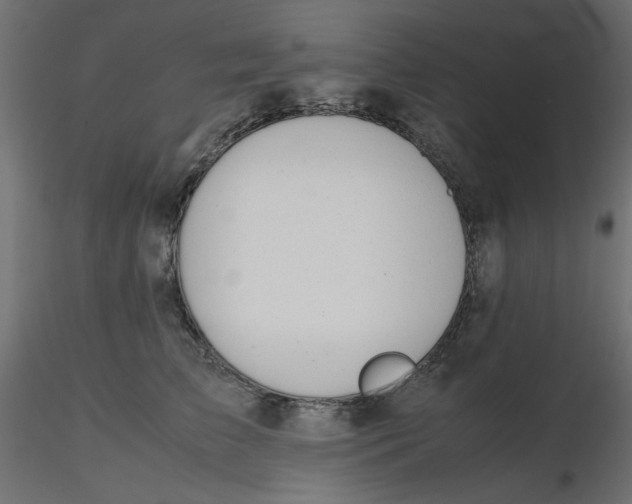 X0000116620709200912312139