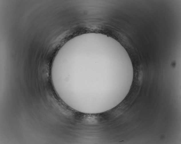 X0000116620710200912312139