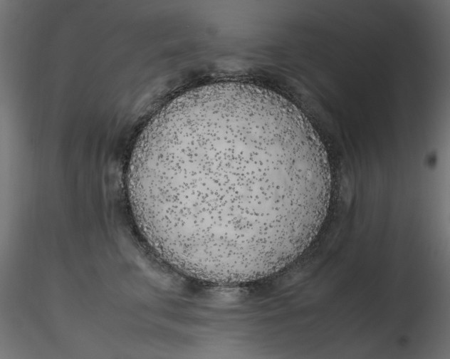 X0000116620711200912312139