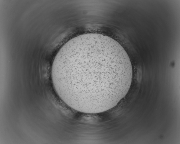 X0000116620712200912312139