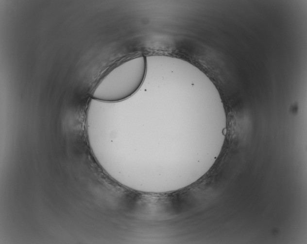 X0000116620713200912312139