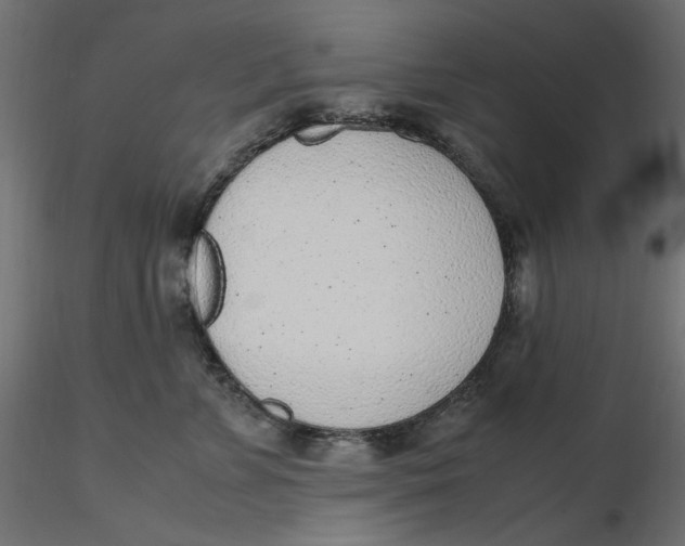 X0000116620715200912312139