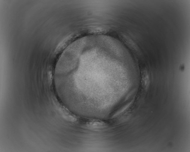 X0000116620716200912312139