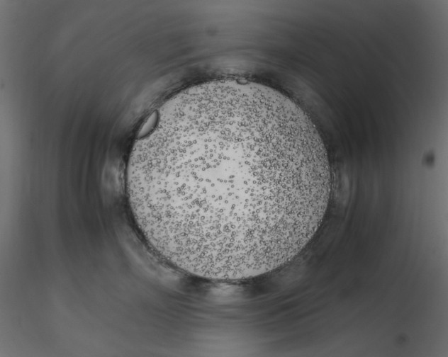 X0000116620718200912312139