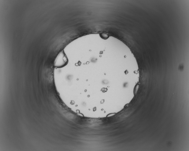 X0000116620719200912312139