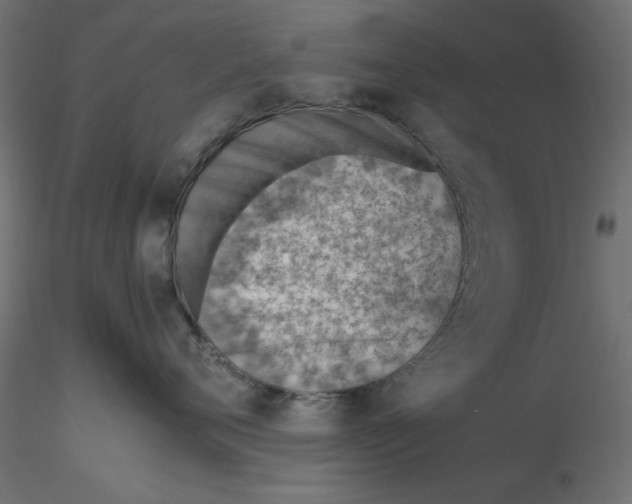 X0000116620720200912312139