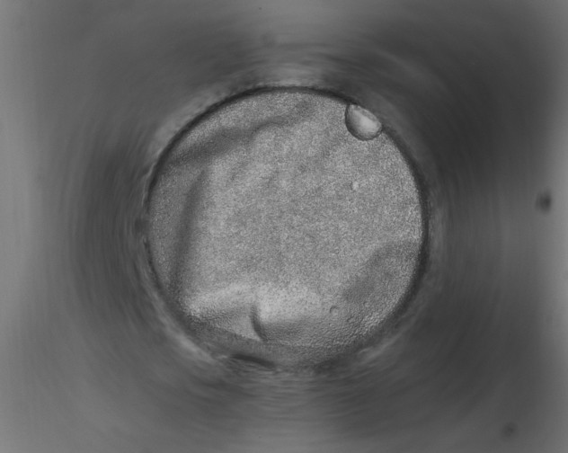 X0000116620721200912312138