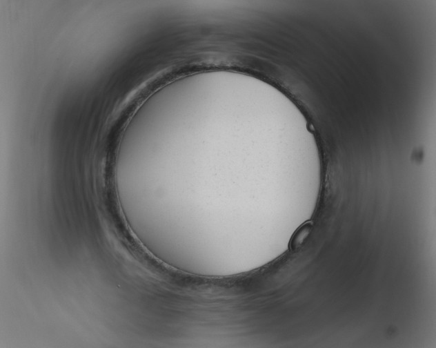 X0000116620722200912312138