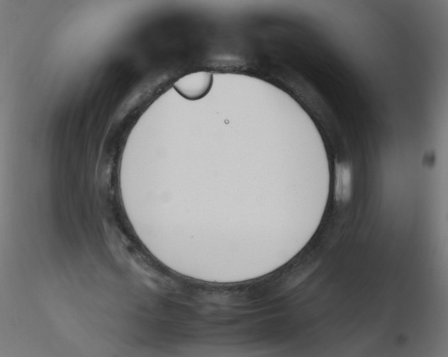 X0000116620723200912312138