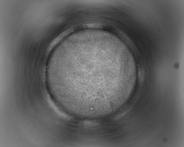 X0000116620725200912312138