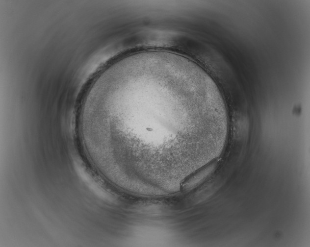 X0000116620726200912312138