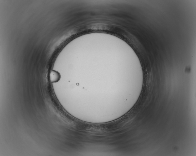 X0000116620727200912312138