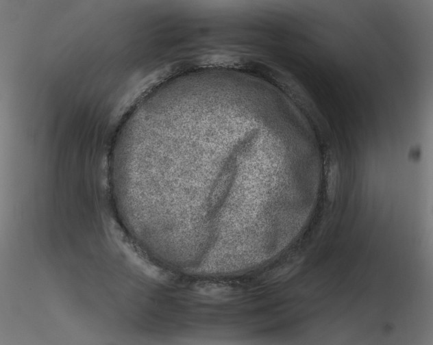 X0000116620729200912312138