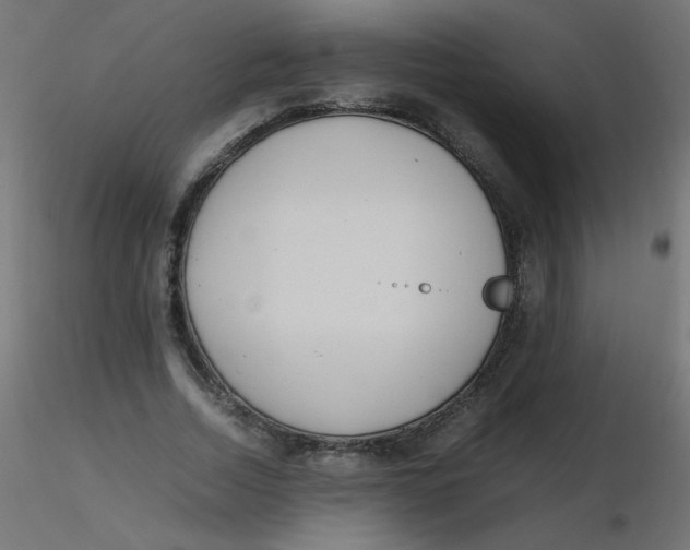 X0000116620730200912312138