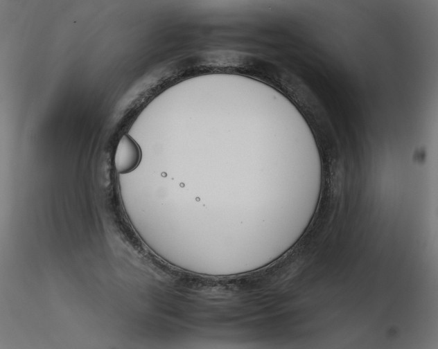 X0000116620731200912312138