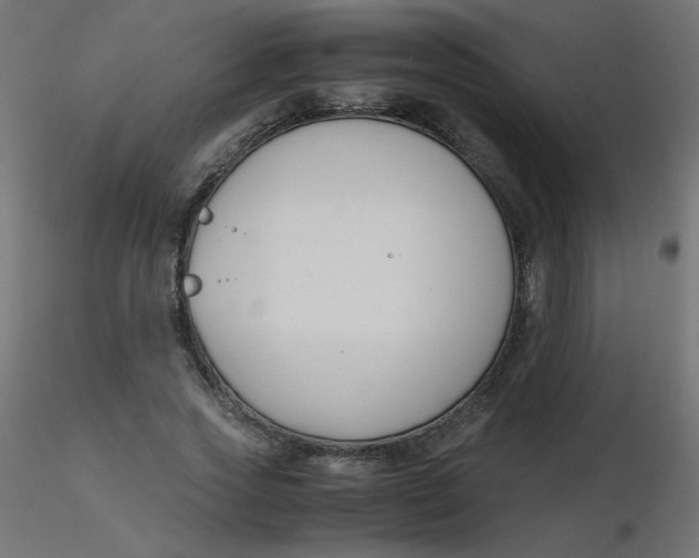 X0000116620733200912312138