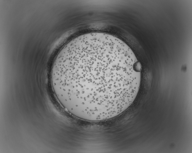 X0000116620734200912312138