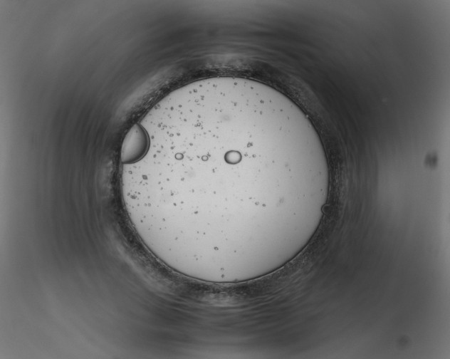 X0000116620735200912312138