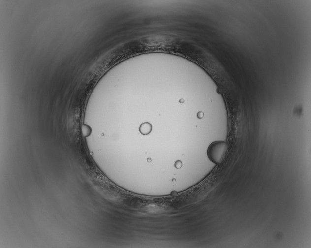 X0000116620737200912312138