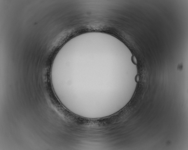 X0000116620738200912312138