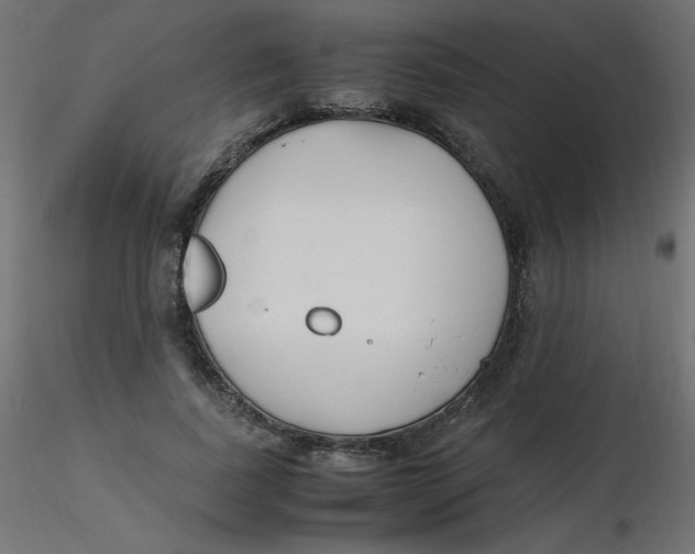 X0000116620739200912312138