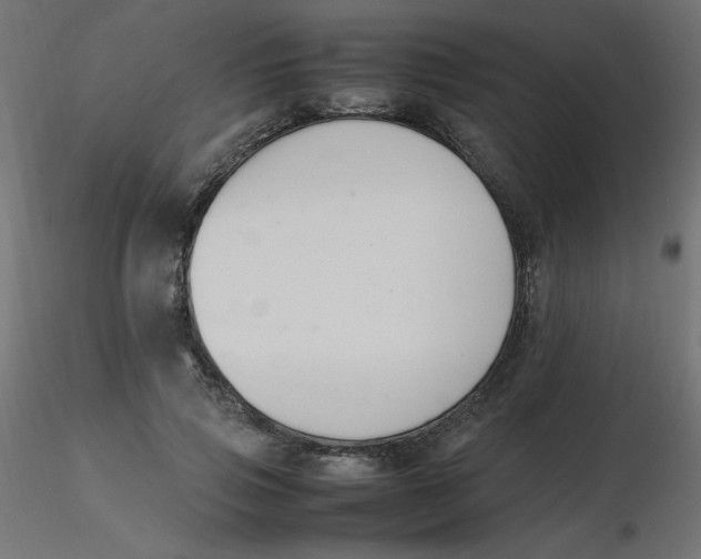 X0000116620741200912312138