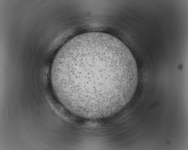 X0000116620742200912312138