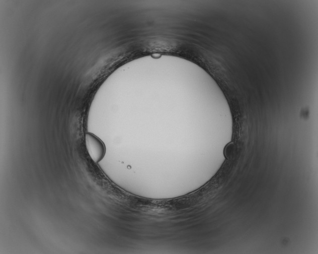 X0000116620743200912312138