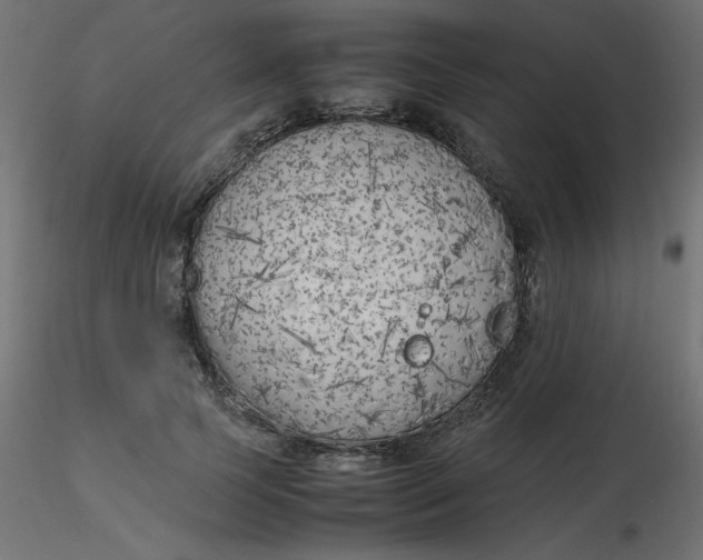 X0000116620745200912312138