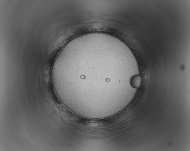 X0000116620746200912312138