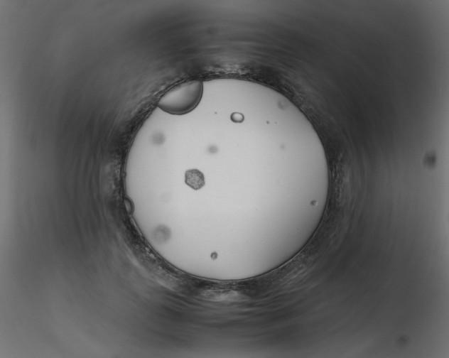 X0000116620747200912312138