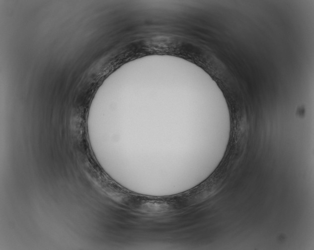 X0000116620749200912312138