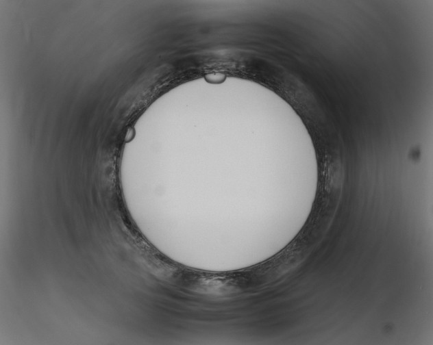 X0000116620753200912312138