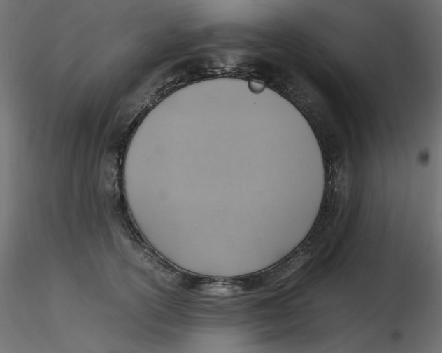 X0000116620754200912312138