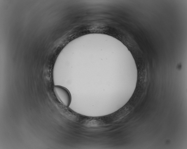 X0000116620755200912312138