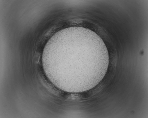 X0000116620758200912312138