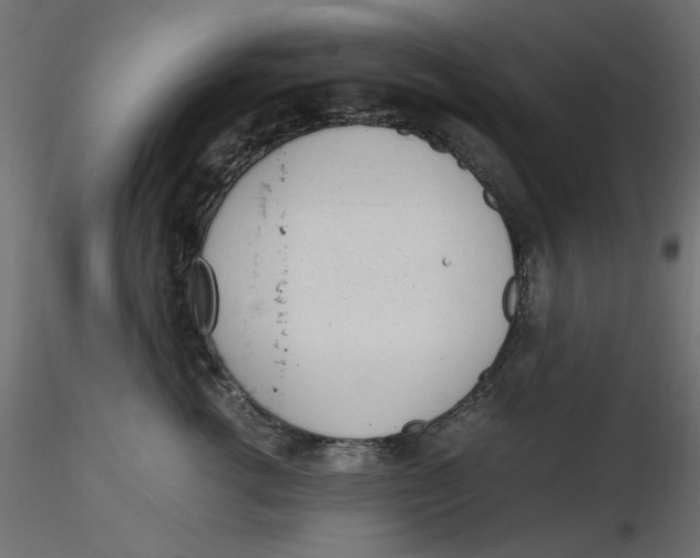 X0000116620762200912312139