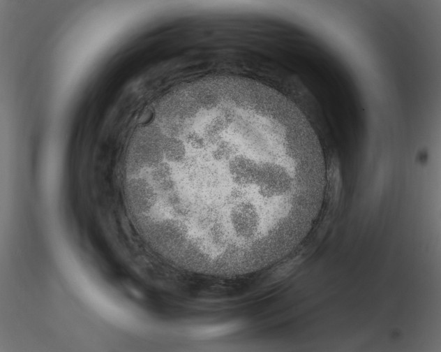 X0000116620765200912312139