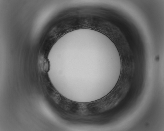 X0000116620766200912312139