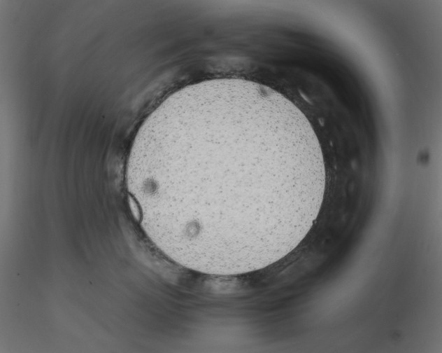 X0000116620767200912312139