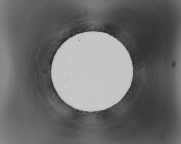 X0000116620769200912312138