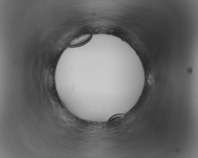 X0000116620771200912312138