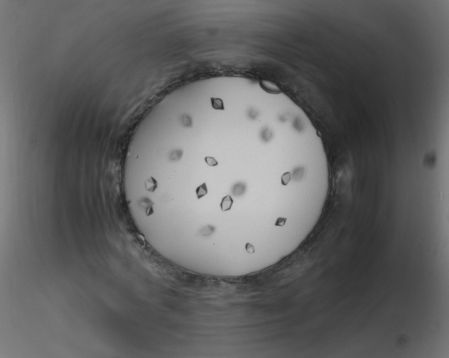 X0000116620772200912312138