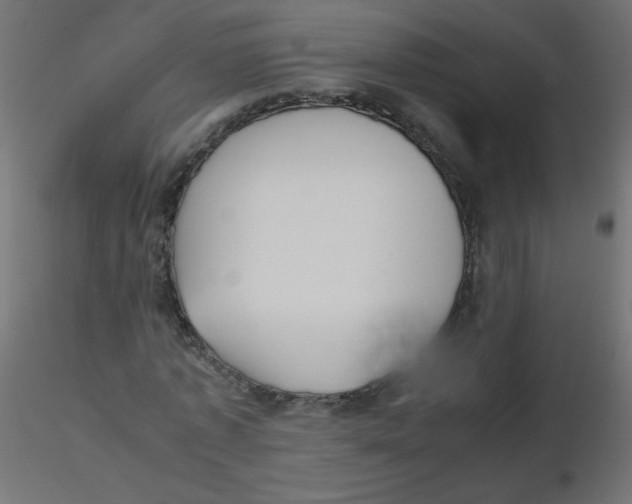 X0000116620773200912312138