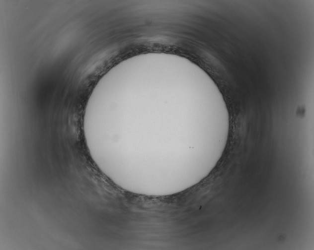 X0000116620774200912312138